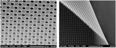 Negative PDMS를 이용하여 Microtransfer 방법으로 인쇄한 패턴의 SEM image