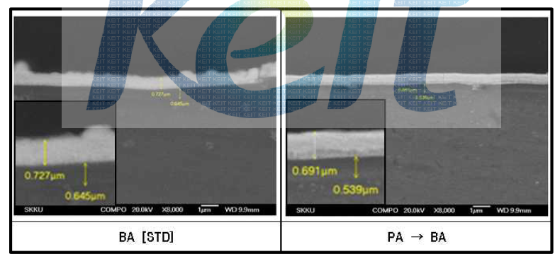 BA, PA → BA 복합 양극 산화 피막 SEM 분석 결과