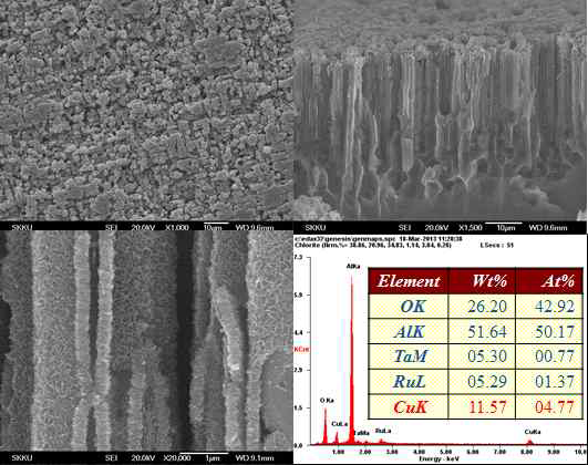Cu 400cycle 전극 형성후 표면과 단면 형상과 EDX측정 결과