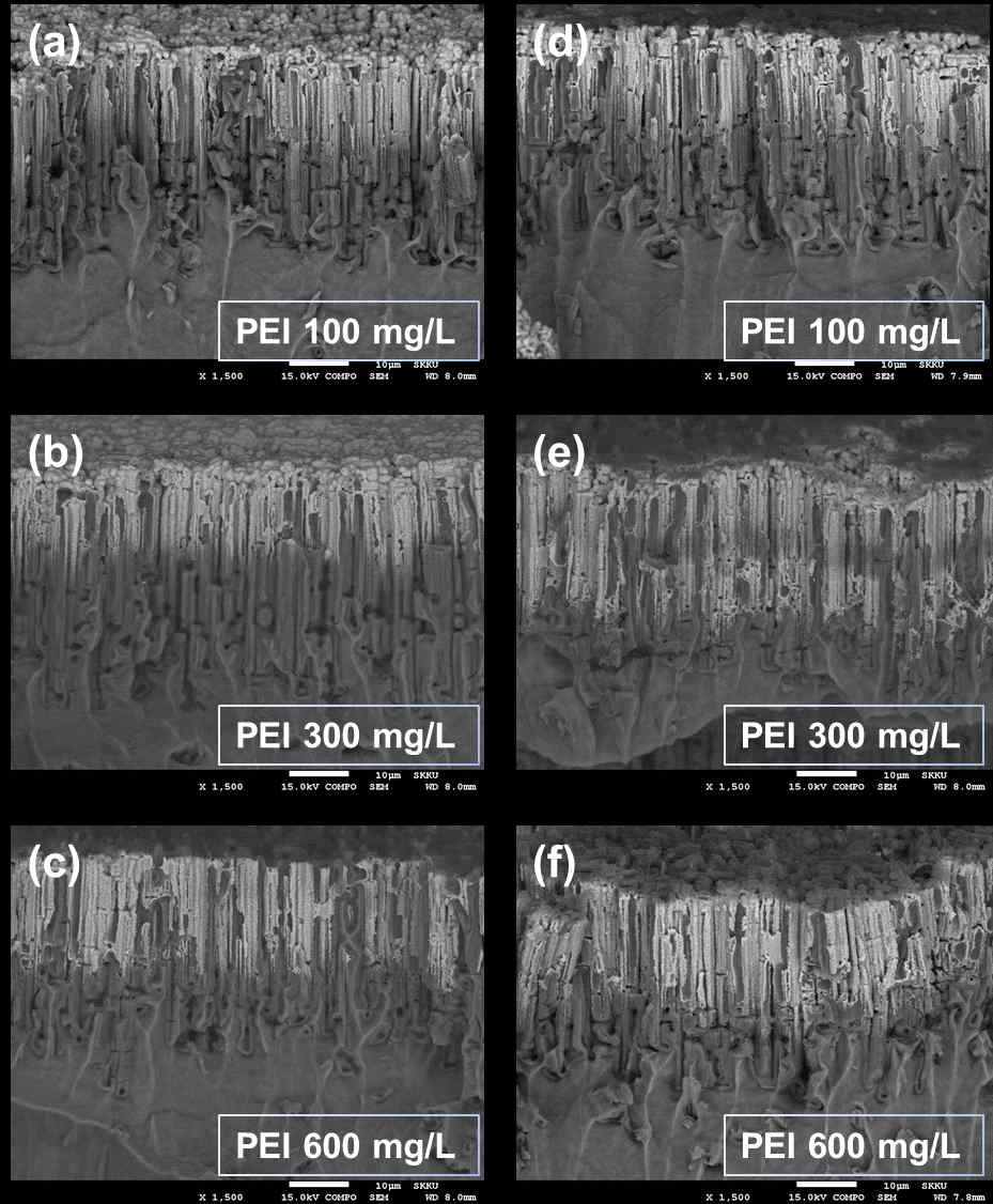 PEI 첨가 조건에 따른 FESEM 단면 측정 결과
