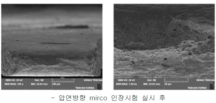 C194 (이구산업)의 micro 인장시험(압연방향)후 파단면