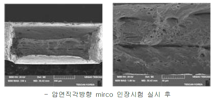 CSC Clad metal (이구산업)의 micro 인장시험(압연직각방향)후 파단면