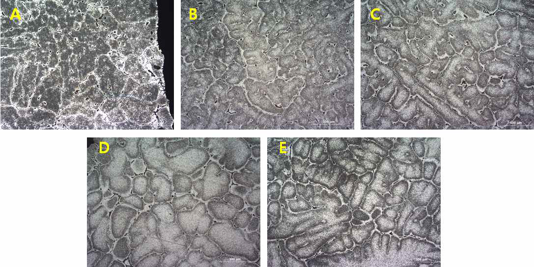 시험주조 A70Cu 빌렛 각 위치별 미세조직