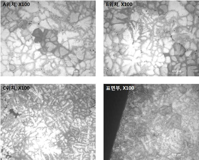 1차 Modify 합금 빌렛 미세조직 관찰 결과