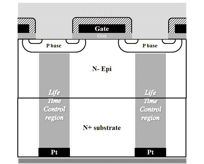 선택적(selective) lifetime control 영역 형성