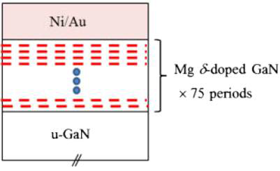 Mg-delta doping 된 p-GaN 반도체 전극 접촉층.