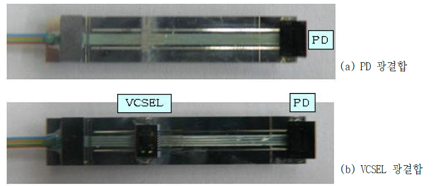 PD와 VCSEL의 광결합 상태