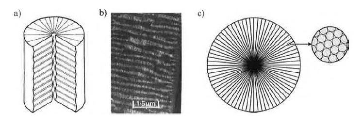 a) Schematic diagram of aramid fibers showing the radially arranged pleated sheets1), b) dark-field image of a tilted longitudinal section through a aramid fiber1), and c) approximation of ideal radial fibrillar texturing2).