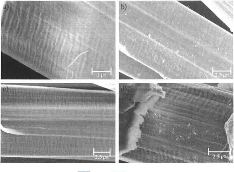 SEM images of the fractured aramid fibers along the fiber direction.