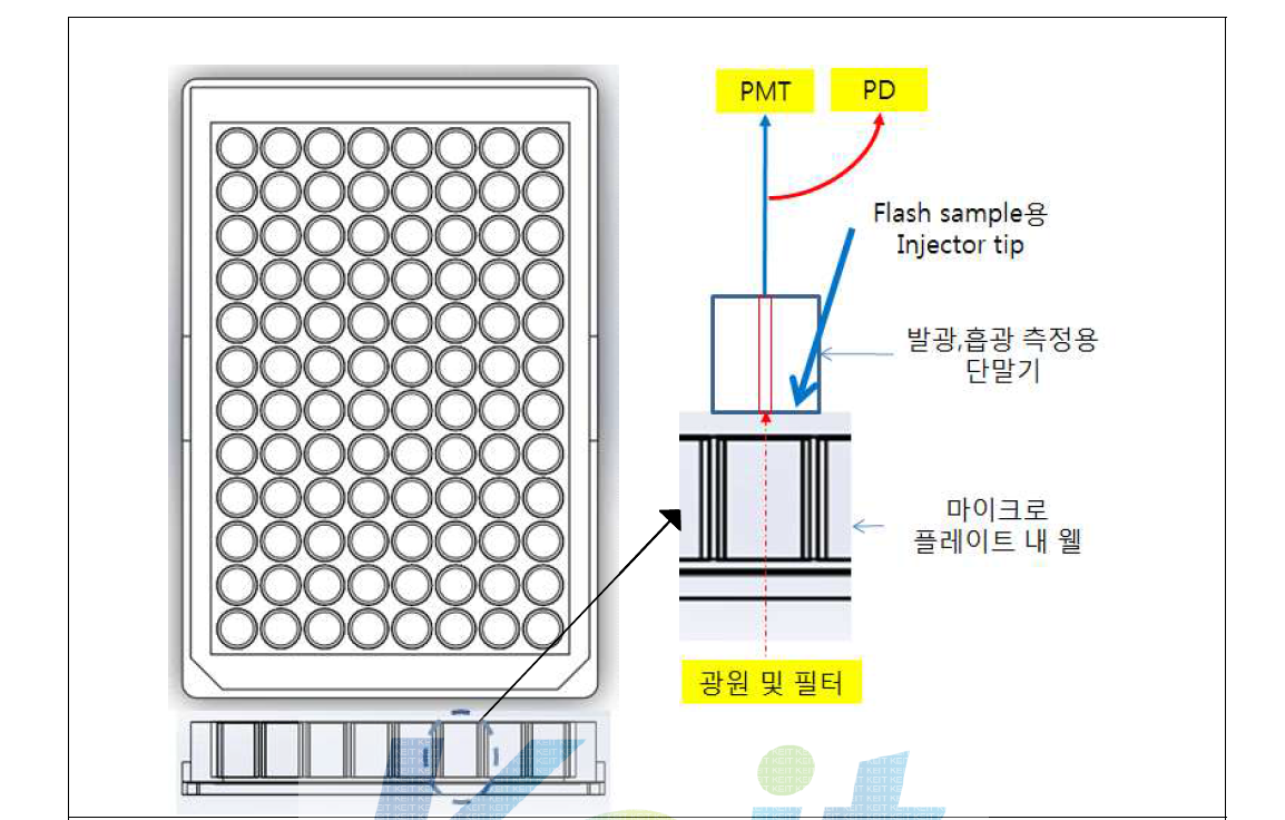 마이크로 플레이트 상단에서 발광/흡광 측정 방법