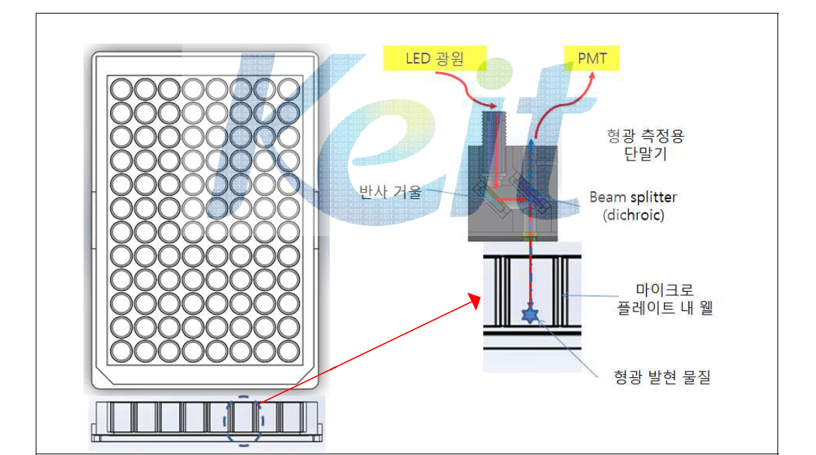 마이크로 플레이트 상단에서 형광 측정 방법