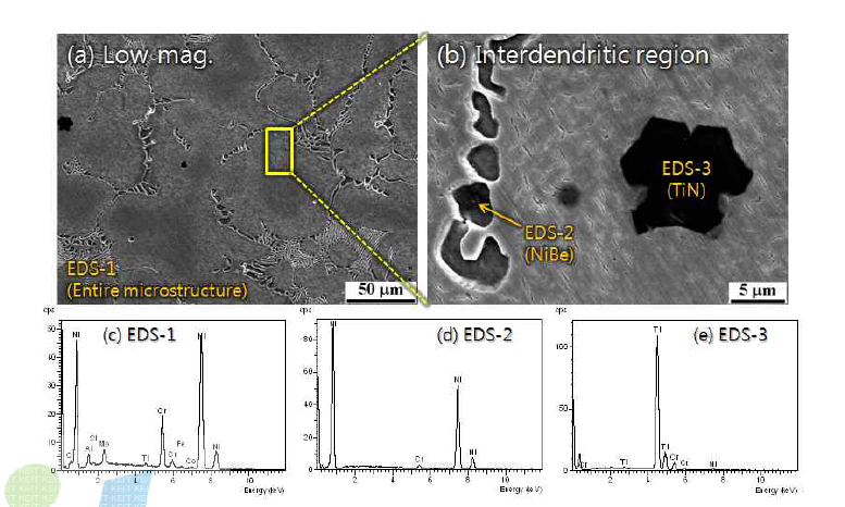 T3 합금의 SEM 미세조직 및 EDS 성분분석 결과.