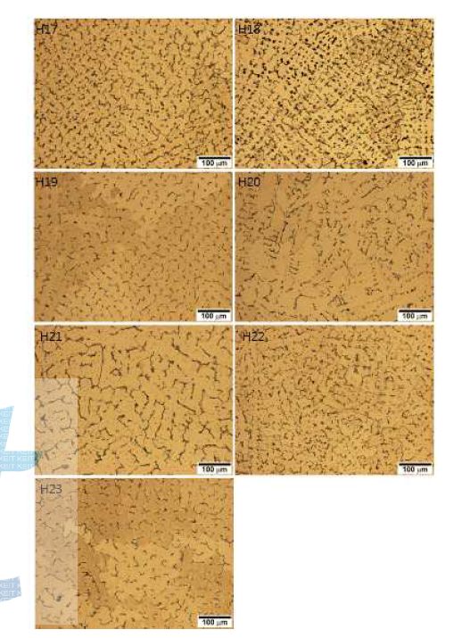 H group 후보합금의 주조상태 광학현미경 미세조직.