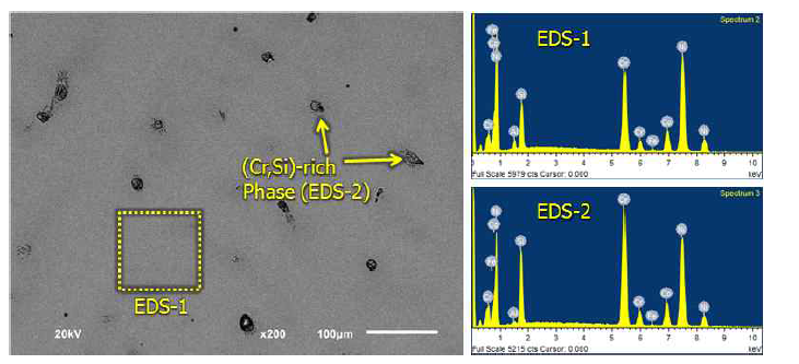 E151 합금의 SEM 미세조직 (BSE image) 및 EDS 분석 결과.