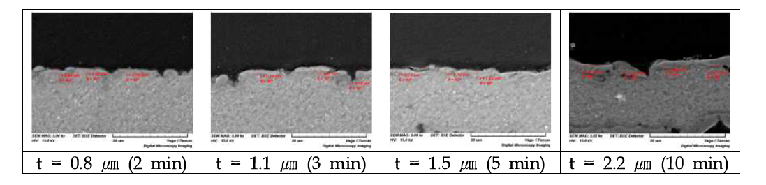 코팅시간별 피막 미세구조