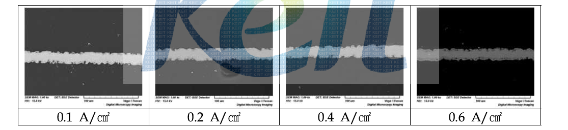 전류밀도별 산화피막의 미세구조