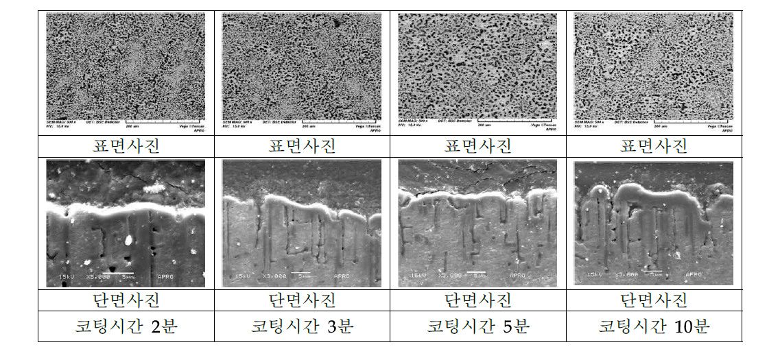 코팅시간별 산화피막 미세구조