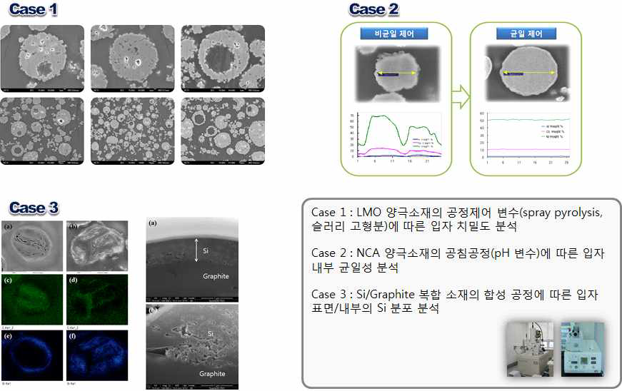 FE-SEM을 이용한 양음극 소재의 고도분석 사례