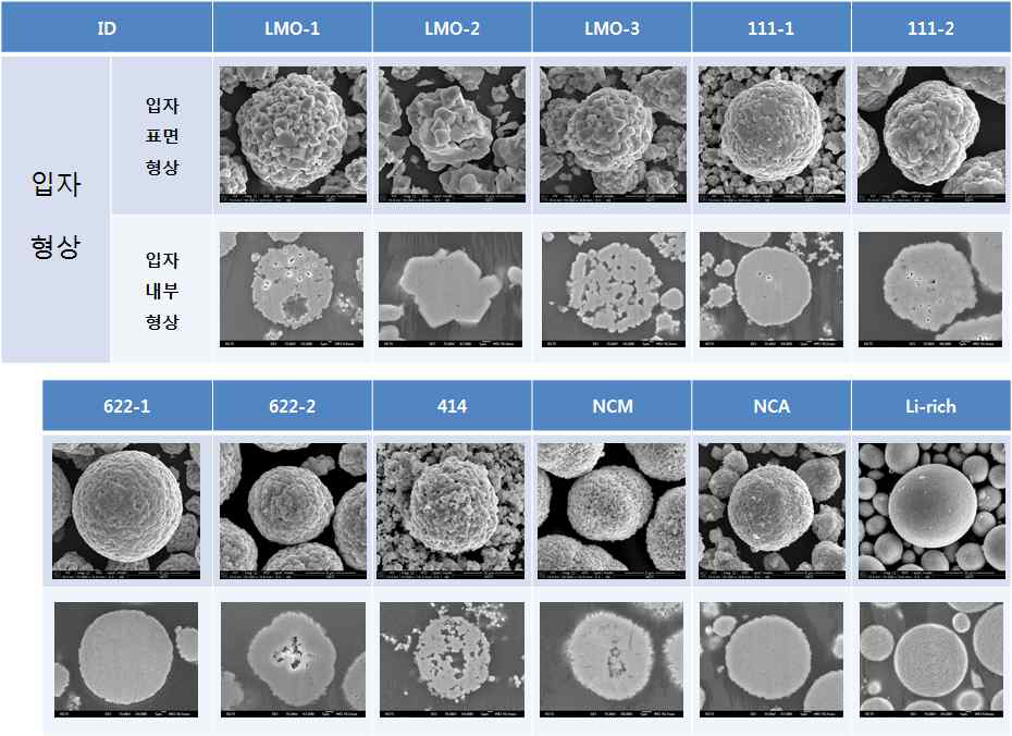 양극소재 11종의 입자 표면 및 단면 형상 비교 분석