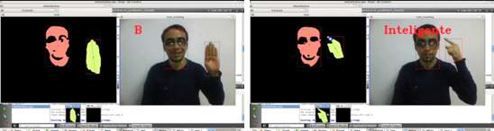 Sign Language Recognition Software