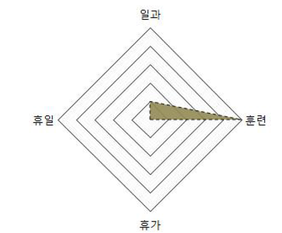 방독면 / 방독면주머니 장병 생활 영역 분석