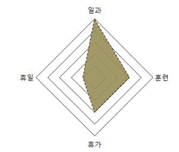 전투복 장병 생활 영역 분석