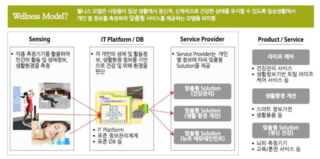 웰니스 모델의 개념