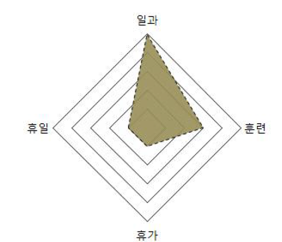 전투화 장병 생활 영역 분석