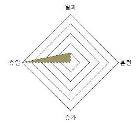 운동화 장병 생활 영역 분석