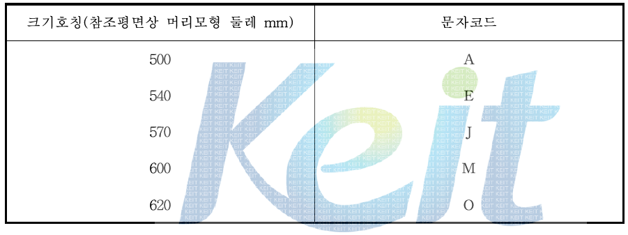 머리모형의 규격