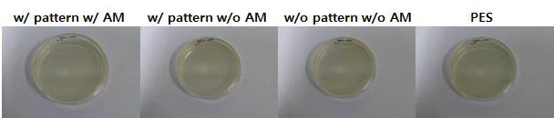 Agar plate를 통해 CFU를 측정하는 ABF 평가의 예