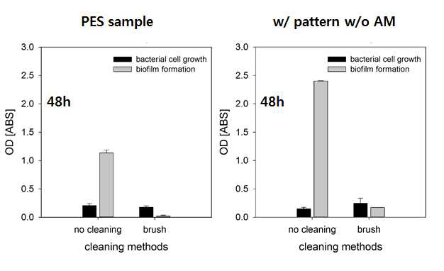 Brush 세척에 따른 각 시편의 biofilm 형성 정도