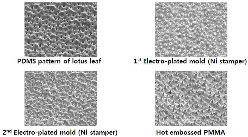 PDMS 복제를 통한 lotus leaf nano-on-micro pattern 금형 및 성형품