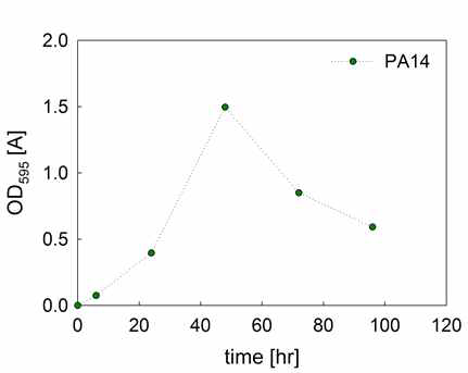 Proliferation of PA14 according to the time