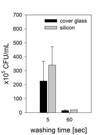 Adhesion of E-coli(RFP) on glass