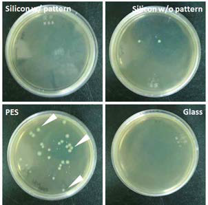 Agar plate을 이용한 ABF 성능 평가의 예.