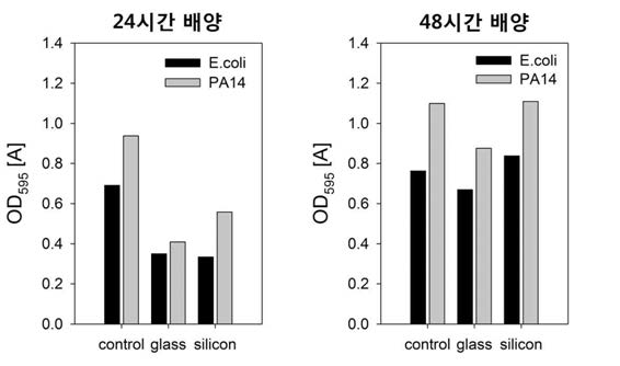 Antibiotic effects of silicon and glass