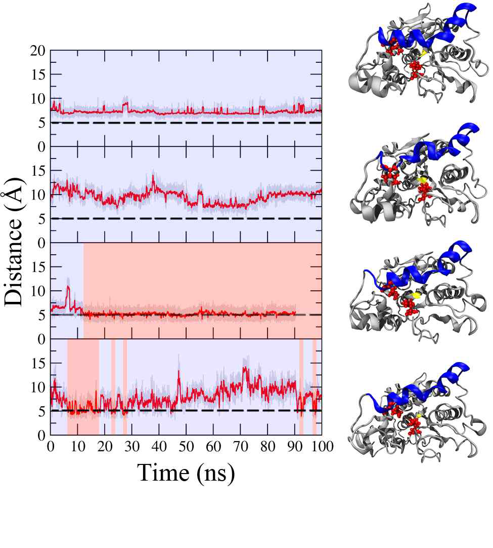 각 용매에서 189 ILE와 285 ILE의 거리. 위 쪽부터 [Bmim][TfO], tert-Butanol, [Bmim][Cl], 0.3M NaCl 용액. 검정색 점선은 두 아미노산이 맞닿 을 수 있는 임계거리. 그래프 내 파란색 영역은 cavity가 열린 상태, 적색은 닫힌 상태를 의미. 그래프 우측의 삽화는 각 용매에서 CALB를 대표하는 구조