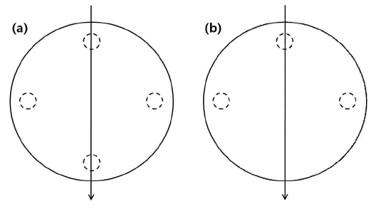 주사 위치를 나타내는 실측 모식도. a와 b는 각각 중앙 부분과 지지점에서 가장 먼 부분에서 최대 처짐이 발생할 경우의 주사 경로를 나타내고 있음