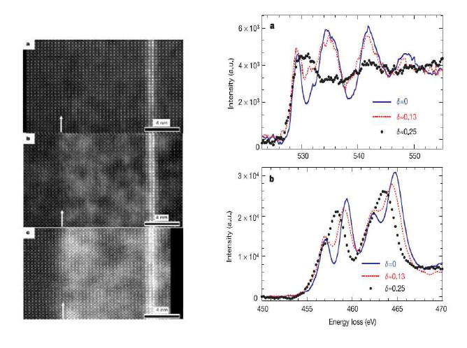 SrTiO3의 고분해능 Z-contrast 이미지(좌)와 전자 손실 에너지 분광 (우)