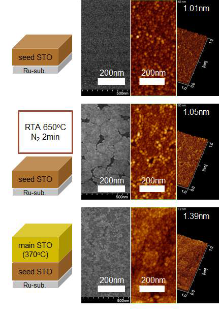 main STO / seed STO / Ru 시편의 각 단계에 따른 표면 SEM 이미지 및 AFM 이미지