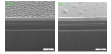 기계적 변형 후 p-type, n-type 각 소자의 단면 사진(FE-SEM)