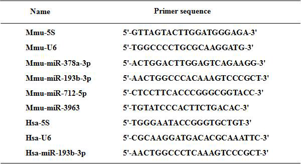 qRT-PCR 분석에 사용한 모든 프라이머