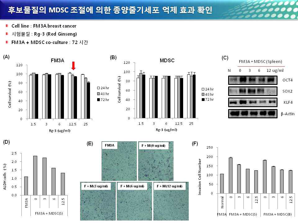 Rg-3의 MDSC 조절에 의한 종양줄기세포 억제 효과 확인