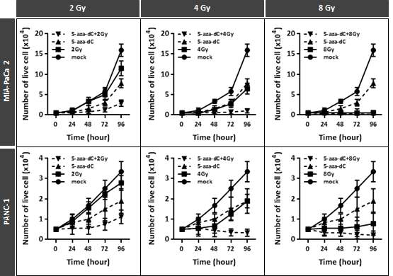 췌장암 세포주 (MIA-PaCa 2, PANC-1)에서 5-aza-dC 처리 및 방사선 선량에 따른 세포 생장수 조사