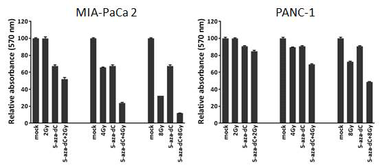 췌장암 세포주 (MIA PaCa-2)에서 5-aza-dC 처리 및 방사선 선량 (2, 4, 8 Gy)에 따른 cell proliferation 변화 조사