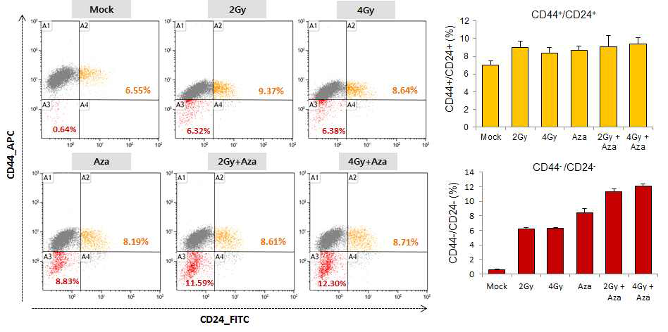 MIA PaCa-2 세포주 방사선 조사 및 5-aza-dC의 단독 및 병용 처리시 종양 줄기세포 표지인자 (CD44, CD24)의 분포도