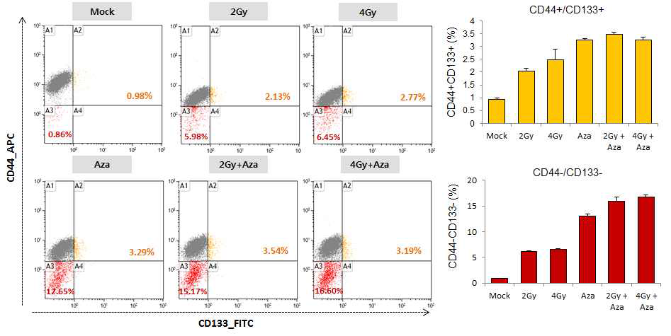 MIA PaCa-2 세포주 방사선 조사 및 5-aza-dC의 단독 및 병용 처리시 종양 줄기세포 표지인자 (CD44, CD133)의 분포도
