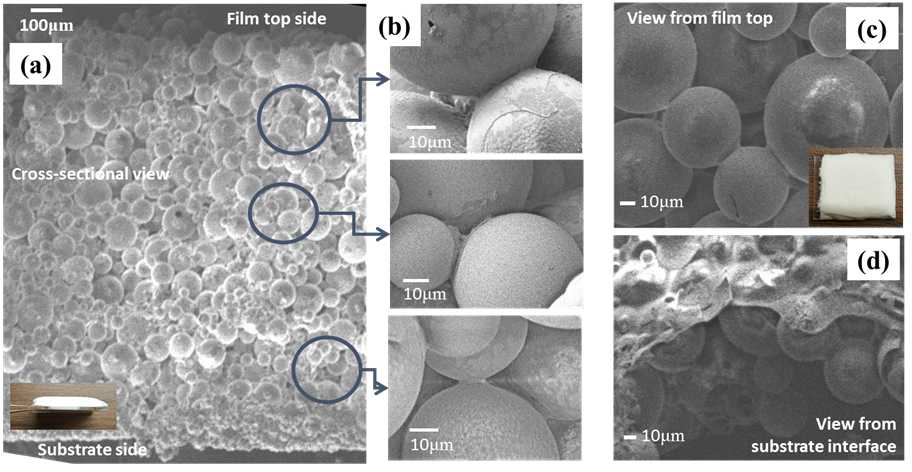 K1 중공입자와 PVDF 바인더를 기반으로, Layer-by-Layer 공정을 수행하여, ~1.4mm 두께의 단열재를 제작한 결과.