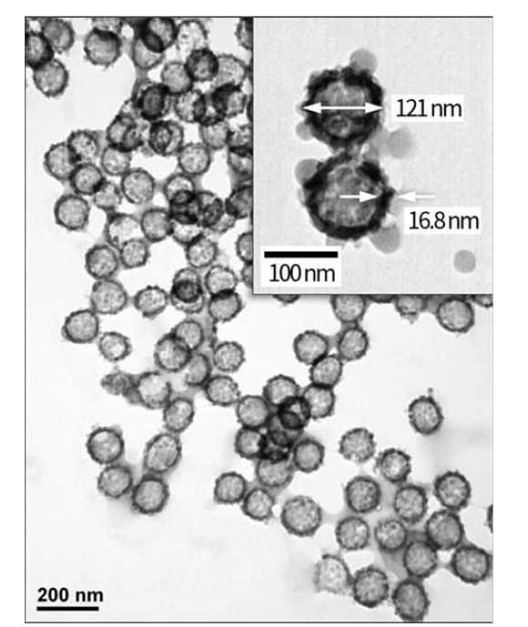 제조된 실리카 중공나노입자의 TEM 사진